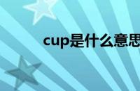 cup是什么意思（ct是什么意思）