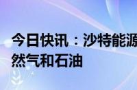 今日快讯：沙特能源大臣宣布沙特阿美发现天然气和石油