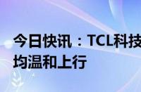 今日快讯：TCL科技：大尺寸面板价格有望年均温和上行