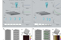 研究人员开发出具有可控梯度多孔结构的新型3D打印策略