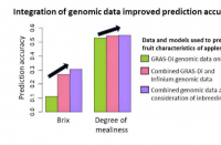 基因组数据整合提高了苹果果实性状的预测准确性