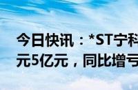 今日快讯：*ST宁科：预计上半年净亏损4亿元5亿元，同比增亏