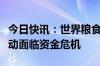 今日快讯：世界粮食计划署称对阿富汗援助行动面临资金危机