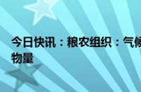 今日快讯：粮农组织：气候风险预计将影响全球海洋鱼类生物量