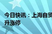 今日快讯：上海自贸区板块走高，上海物贸拉升涨停