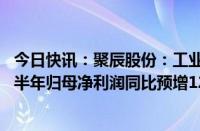 今日快讯：聚辰股份：工业级EEPROM产品出货量增长，上半年归母净利润同比预增124.93%