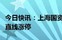 今日快讯：上海国资概念午后拉升，上海凤凰直线涨停