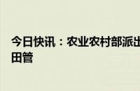 今日快讯：农业农村部派出科技小分队指导抗灾救灾和秋粮田管