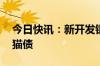 今日快讯：新开发银行发行80亿元人民币熊猫债