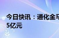 今日快讯：通化金马闪崩跌超9%，成交额超5亿元