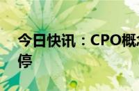 今日快讯：CPO概念股震荡走高，飞利信涨停