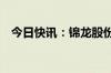 今日快讯：锦龙股份一字涨停实现9天6板