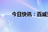 今日快讯：百威亚太港股下挫近7%