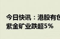 今日快讯：港股有色金属板块早盘震荡走低，紫金矿业跌超5%