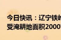 今日快讯：辽宁铁岭王河溃口已转移395人，受淹耕地面积2000亩