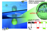 用于基因治疗中病载体质量控制的新型纳米传感技术