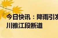 今日快讯：降雨引发泥石流，国道G318线四川雅江段断道