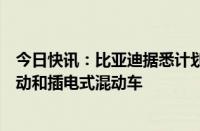 今日快讯：比亚迪据悉计划进入巴基斯坦市场，将推出纯电动和插电式混动车