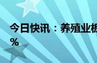 今日快讯：养殖业板块走低，神农集团跌超5%