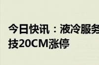 今日快讯：液冷服务器板块震荡走高，川环科技20CM涨停