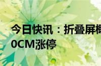 今日快讯：折叠屏概念反复活跃，长信科技20CM涨停