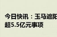 今日快讯：玉马遮阳：终止发行可转债募资不超5.5亿元事项