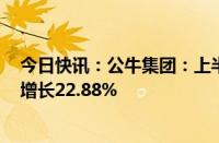 今日快讯：公牛集团：上半年归母净利润22.39亿元，同比增长22.88%