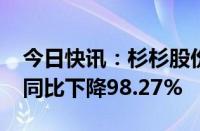 今日快讯：杉杉股份：2024年上半年净利润同比下降98.27%