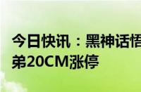 今日快讯：黑神话悟空概念震荡反弹，华谊兄弟20CM涨停