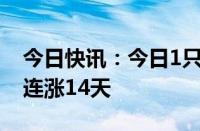 今日快讯：今日1只个股连涨15天，1只个股连涨14天