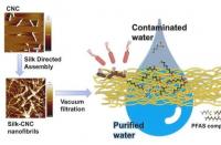 基于自然的过滤材料可以去除水中的持久化学物质