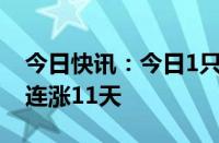 今日快讯：今日1只个股连涨19天，1只个股连涨11天