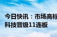 今日快讯：市场高标股继续获资金抱团，科森科技晋级11连板