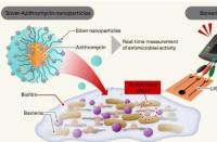 银纳米粒子和一种新的传感方法可以对抗抗生素耐药性生物膜