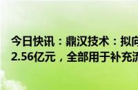 今日快讯：鼎汉技术：拟向控股股东工控资本定增募资不超2.56亿元，全部用于补充流动资金