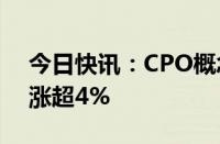 今日快讯：CPO概念股开盘冲高，中际旭创涨超4%