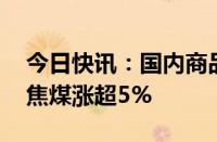 今日快讯：国内商品期货大面积收涨，短纤 焦煤涨超5%