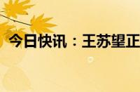 今日快讯：王苏望正式担任国投证券总经理