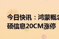 今日快讯：鸿蒙概念再度走强，润和软件 安硕信息20CM涨停