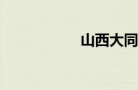 山西大同大学分数线