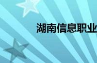 湖南信息职业技术学院分数线