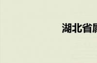 湖北省属高校名单