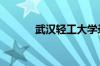 武汉轻工大学录取分数线2023