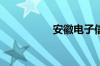 安徽电子信息技术学院