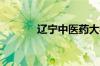 辽宁中医药大学职业技术学院