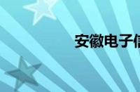 安徽电子信息技术学院