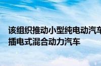 该组织推动小型纯电动汽车实际上可能提倡混合动力汽车和插电式混合动力汽车