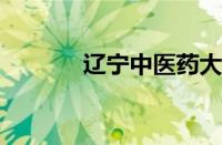 辽宁中医药大学职业技术学院