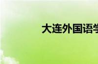 大连外国语学院录取分数线