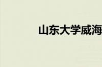 山东大学威海分校录取分数线